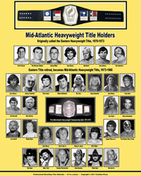 Professional Wrestling Title History Poster #1